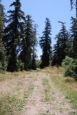Enlarge photo 33