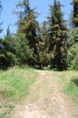 Enlarge photo 35