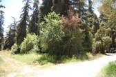 Enlarge photo 36