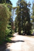 Enlarge photo 37
