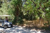 Enlarge photo 38