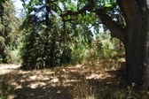 Enlarge photo 39