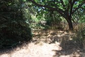 Enlarge photo 42