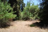 Enlarge photo 43