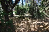 Enlarge photo 44