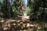 Enlarge photo 45