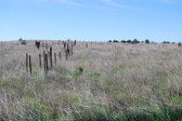 Enlarge photo 35