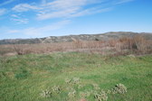 Enlarge photo 36