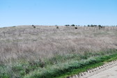 Enlarge photo 38