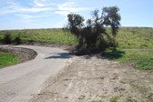 Enlarge photo 49