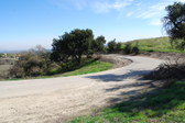 Enlarge photo 50