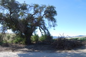 Enlarge photo 51
