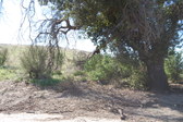 Enlarge photo 52