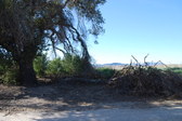 Enlarge photo 53