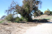 Enlarge photo 54