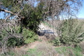 Enlarge photo 57
