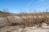 Enlarge photo 63