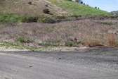 Enlarge photo 66