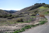 Enlarge photo 67