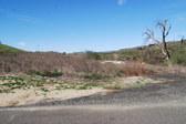 Enlarge photo 68