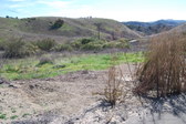 Enlarge photo 69