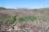 Enlarge photo 71