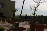 Enlarge photo 39
