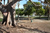 Pier / Echo Park Lake
