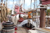 Enlarge photo 14