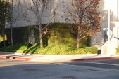 Enlarge photo 18
