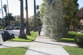 Enlarge photo 29