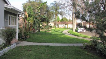 Enlarge photo 3