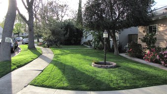Enlarge photo 4