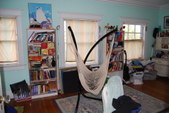 Enlarge photo 50