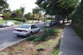 Enlarge photo 72