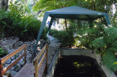 Enlarge photo 31