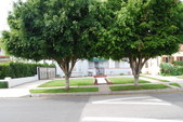 Enlarge photo 39