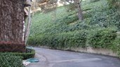 Enlarge photo 63
