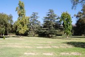 Mountain View Cemetary