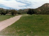 Ext. Wildlife Sanctuary