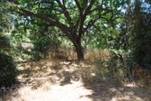 Enlarge photo 39