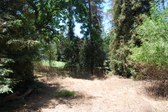 Enlarge photo 40