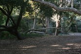 Temescal Gateway Park