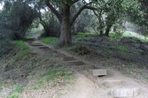 Enlarge photo 27