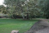 Enlarge photo 31