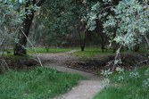 Enlarge photo 32