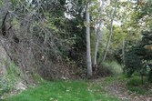 Enlarge photo 33