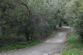 Enlarge photo 34