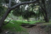 Enlarge photo 35