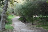 Enlarge photo 36